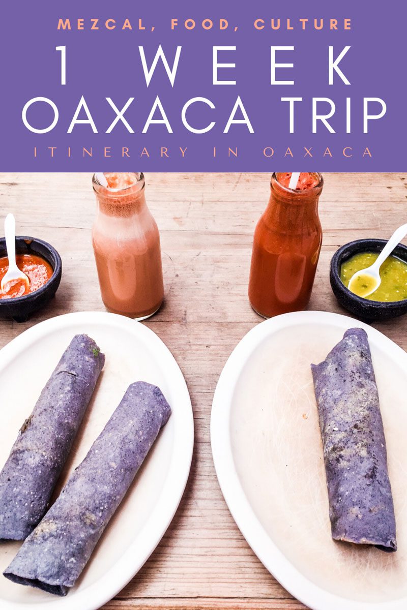 Copy of Copy of Copy of Copy of Copy of 1 week oaxaca trip_ itinerary in oaxacaLRLR