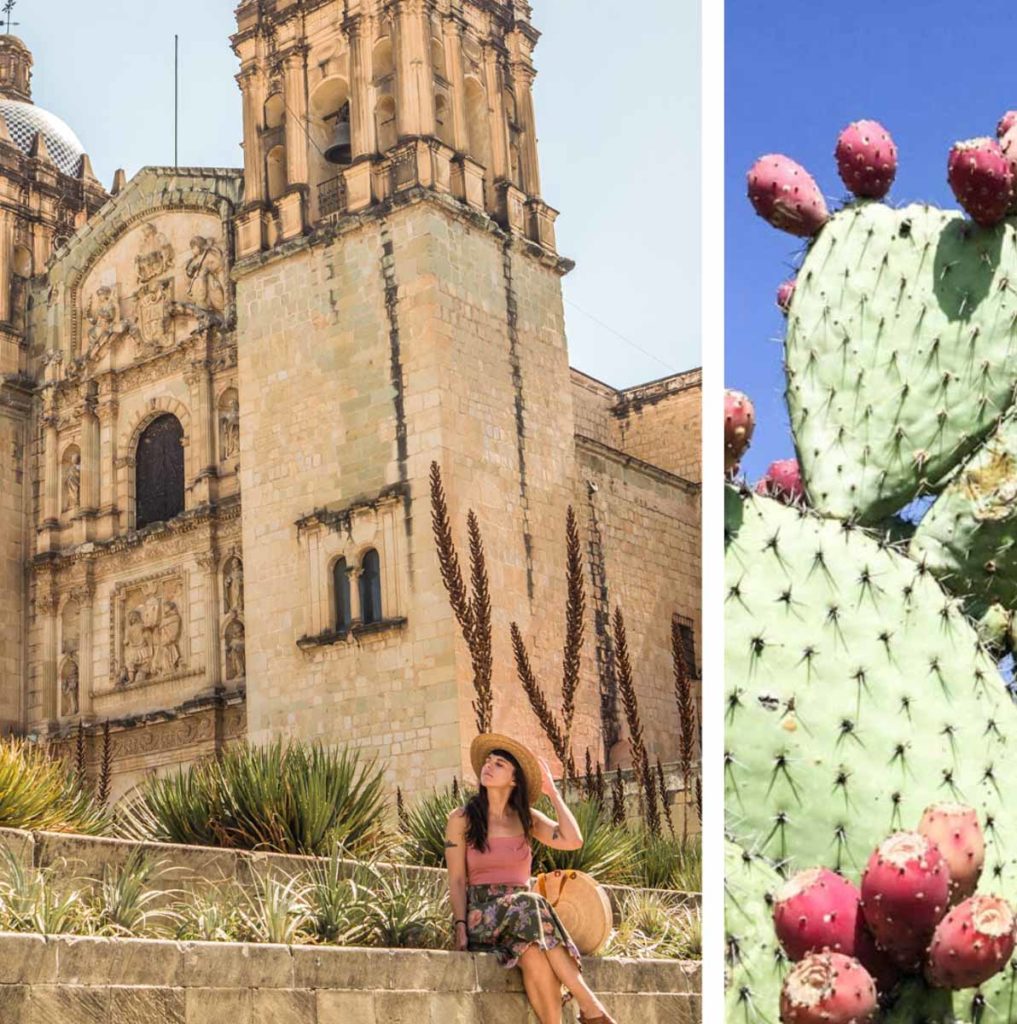 oaxaca trip 7 day itinerary