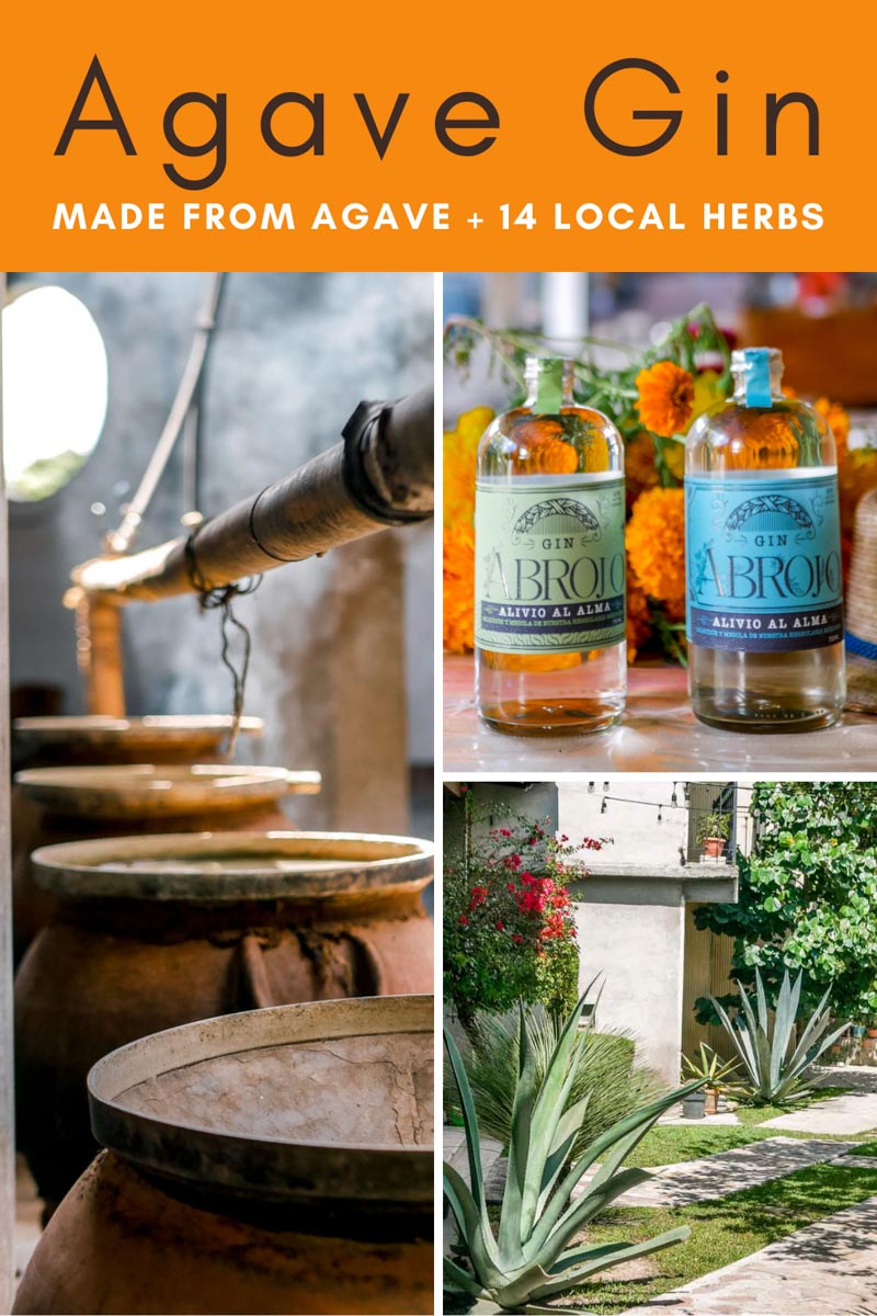 Agave Gin A Mexican Gin Made From Agave & 14 Local Herbs in Oaxaca