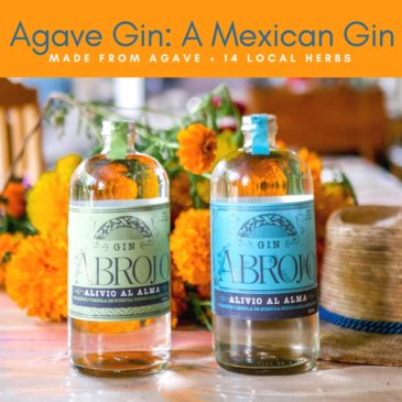 Agave Gin: A Mexican Gin Made from Agave Thumb