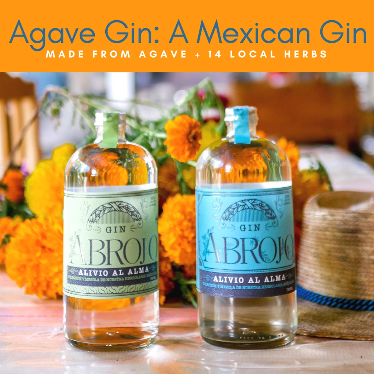 Agave Gin: A Mexican Gin Made from Agave Thumb
