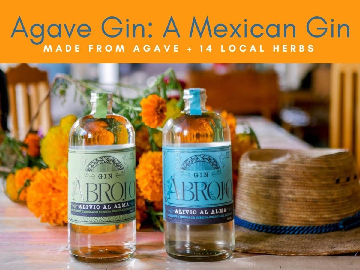 Agave Gin: A Mexican Gin Made from Agave