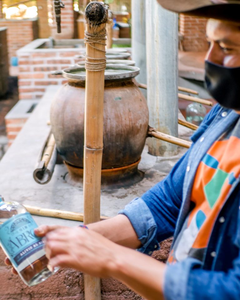 Agave Gin A Mexican Gin Made From Agave & 14 Local Herbs in Oaxaca
