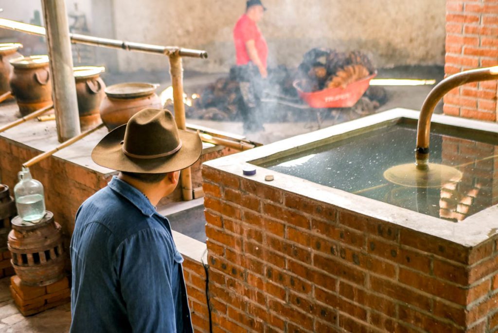 agave gin made from espadin mezcal