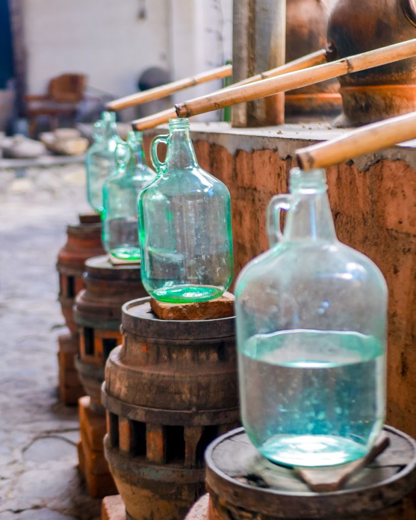 distilling mezcal