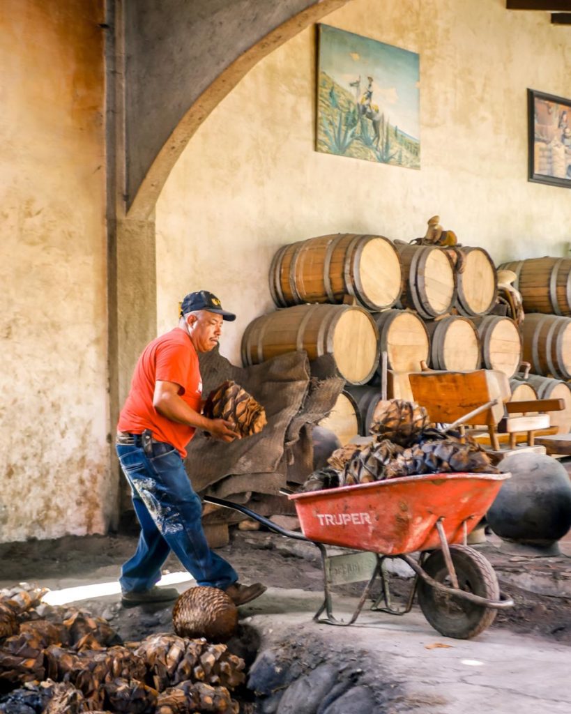 mezcal macurichos palenque oaxaca