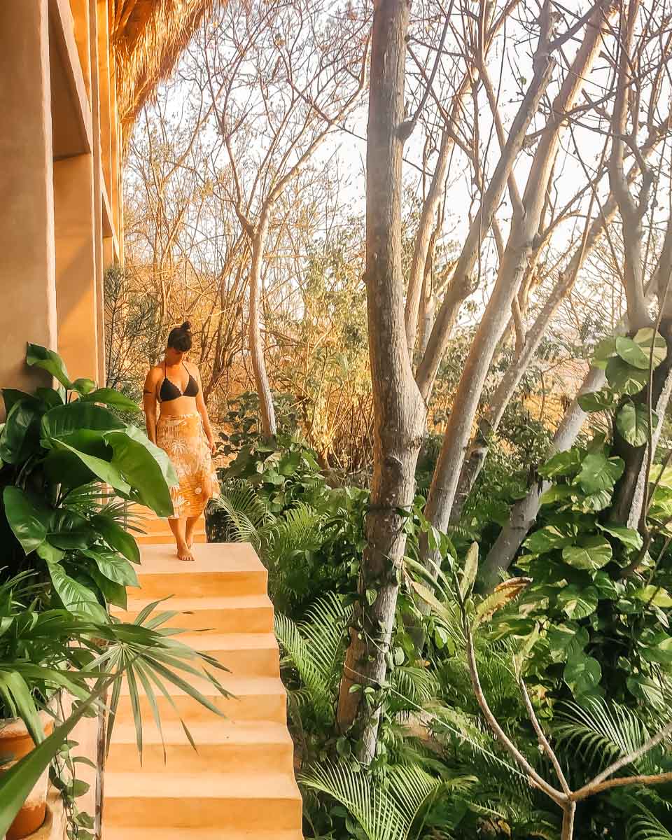 jungle views in oaxaca beach hotel