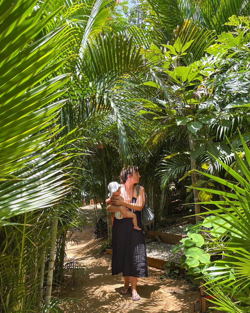 lush hotel oaxaca coast