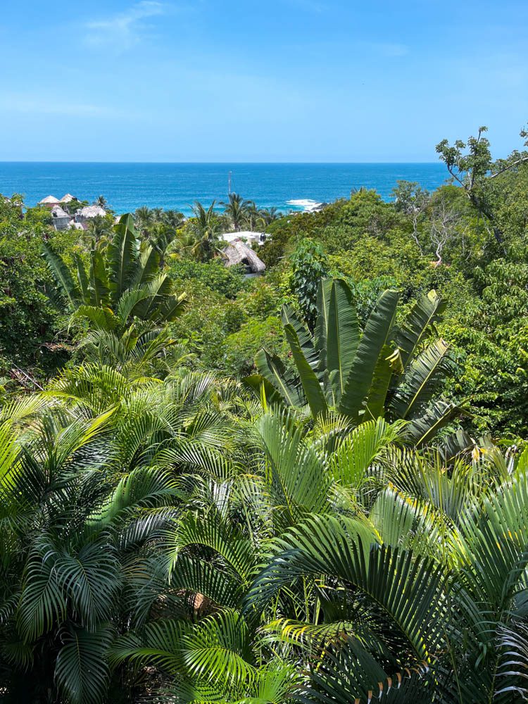 ocean view and jungle view san agustinillo