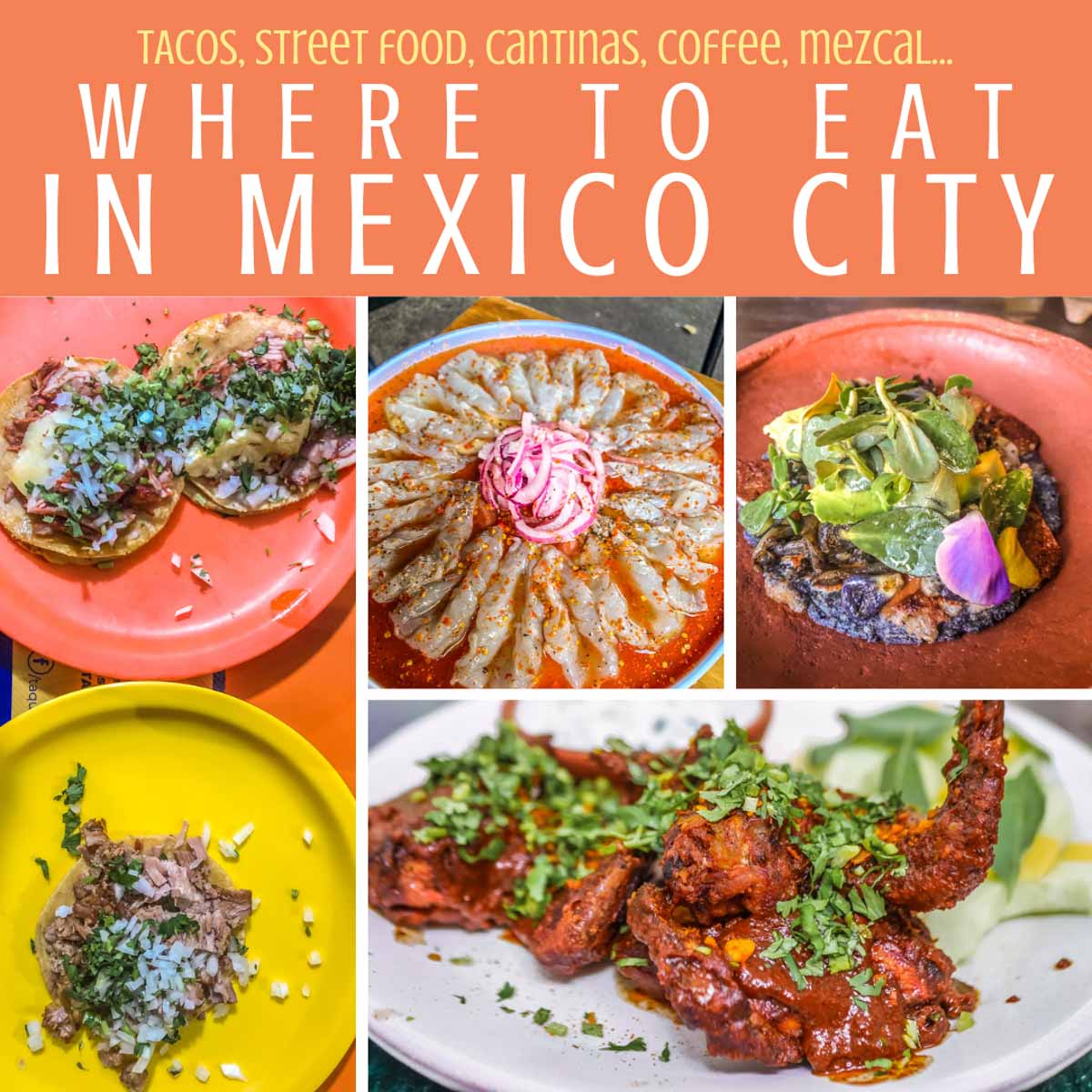 Copy of where to eat in mexico city tacos street food cantinas c