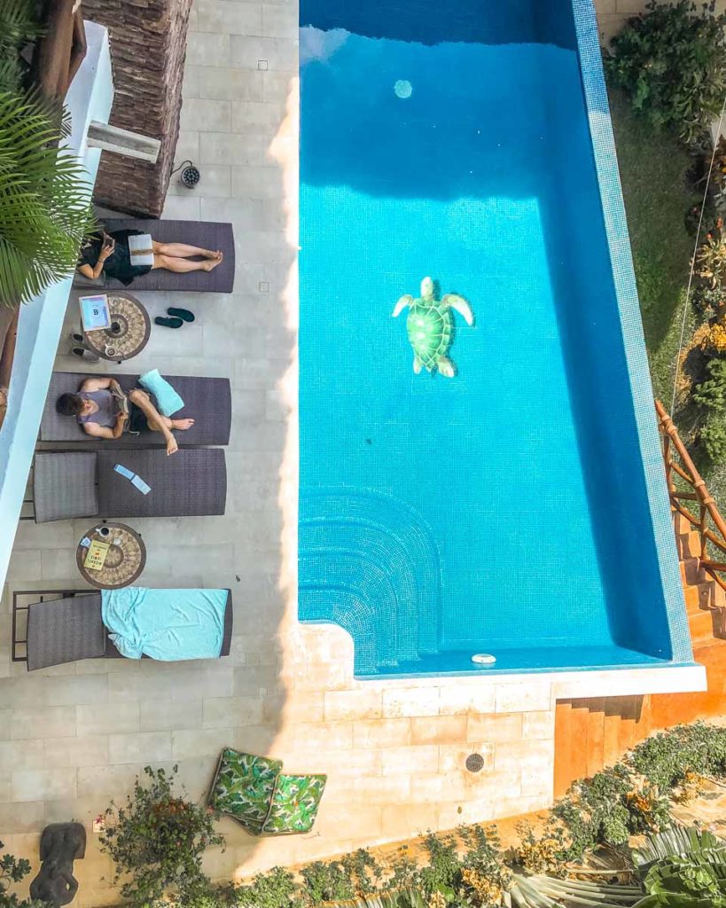 pool and lounging area at best beach airbnb in oaxaca for groups