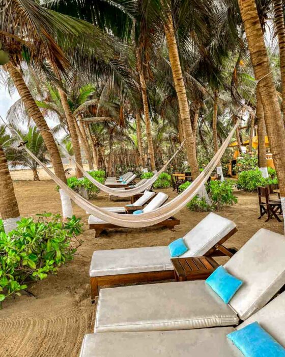 beach loungers in front of the ocean puerta paraiso
