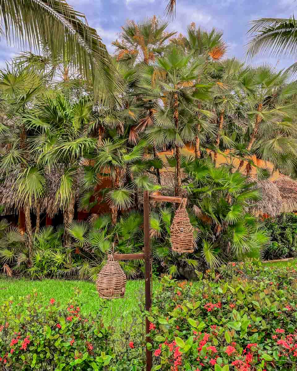 common green areas zihuatanejo hotel