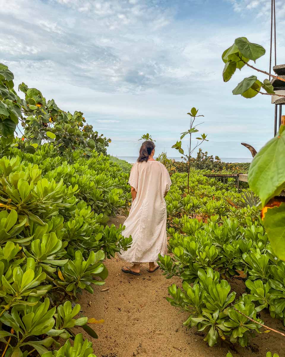 punta pajaros airbnb in nature
