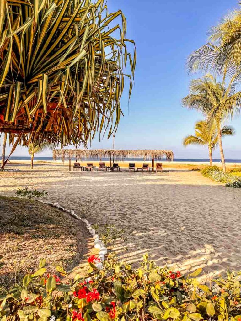 beach loungers at blater hotel puerto escondido