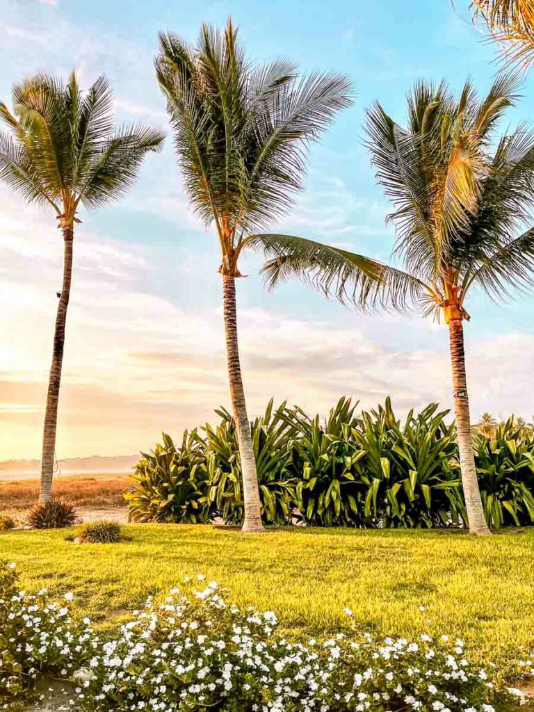 playa zicatela beach