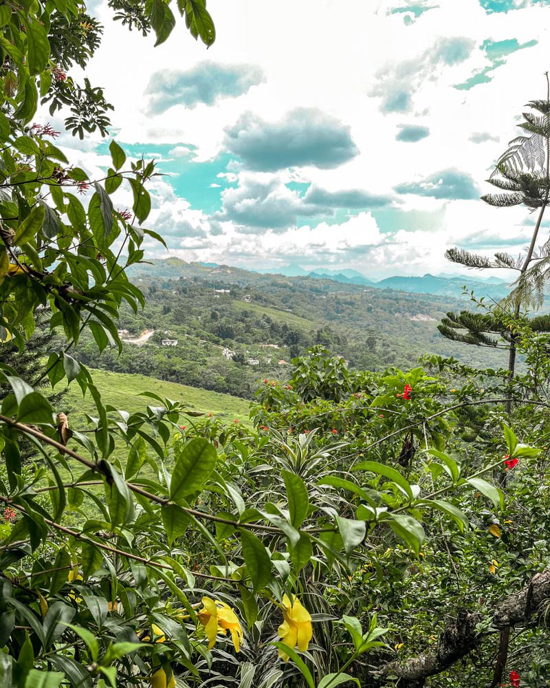 botanical garden cuetzalan puebla