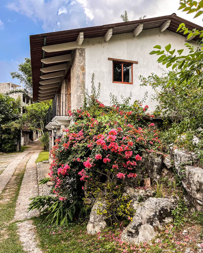 leafy grounds at posada la vereda