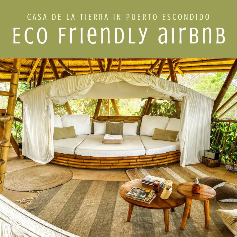 Eco Friendly Airbnb in Puerto Escondido: Casa de la Tierra Tree House -